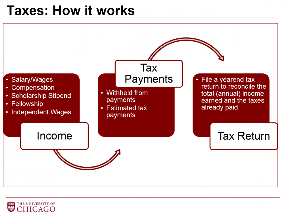 How do you file back taxes?